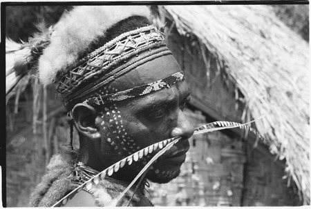 Pig festival, singsing, Kwiop: man with facial scarification, face paint, feather headdress and nose ornament