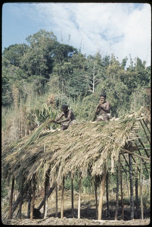 Men thatching a small cooking structure for Pflanz and Cook