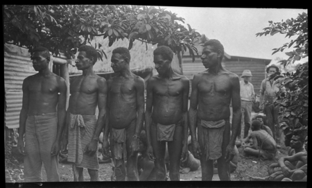 Probably Goaribari men, working at Fairfax sisal plantation