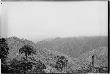 Mountains of Adelbert Range: Selausei gardens, seen from Atitau-Wanuma trail
