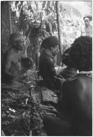 Pig festival, wig ritual, Tsembaga: man uses arrow point to apply sap to wig