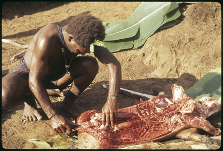 Saelasi, butchering a pig.