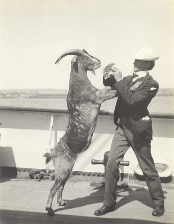 Henry Bryant Bigelow, oceanographer and marine biologist, playing with a goat during a trip aboard the U.S. Fisheries stea...