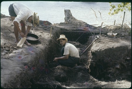 Hauiti archaeological excavation, Moorea: Y50 and men working