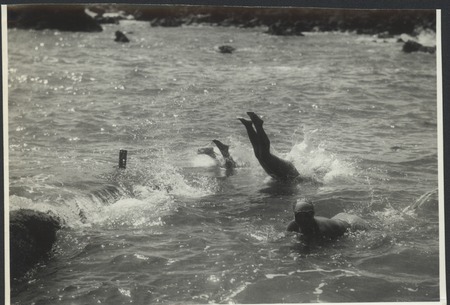 Kamogawa women diving for seaweed, abalone, &amp; oysters. Japan, c1947