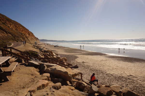 Data from: Observations of surface cobbles at two southern California beaches