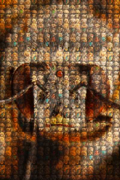 Faces of select bees from San Diego, CA