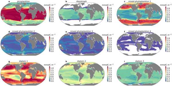 Data from: Plankton energy flows using a global size-structured and trait-based model