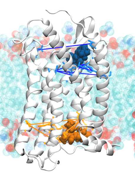 Data from: Structural basis for ligand modulation of the CCR2 conformational landscape