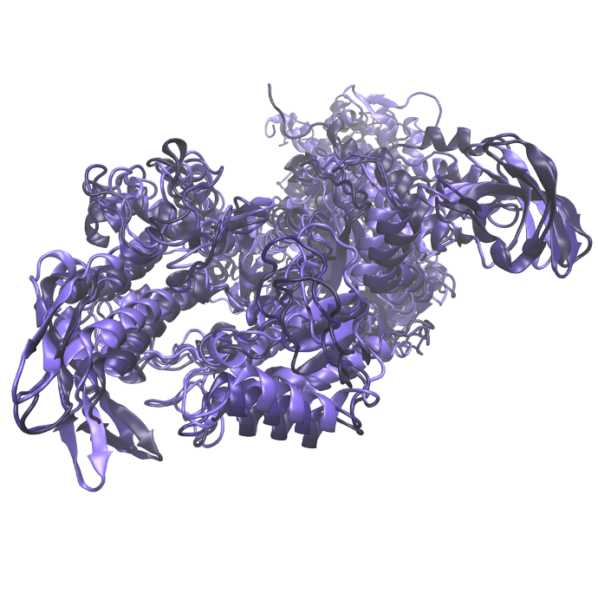 Data from: Multiscale Modeling Shows How 2'-deoxy-ATP Rescues Ventricular Function in Heart Failure