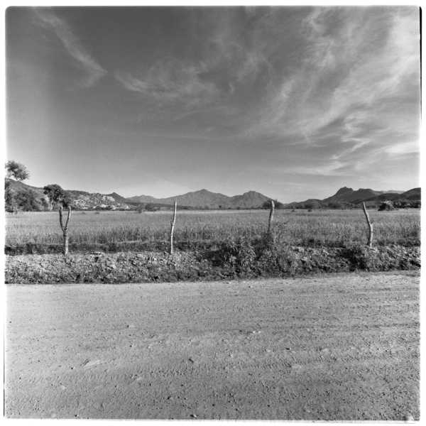 D. B. Richardson Baja California Video Collection
