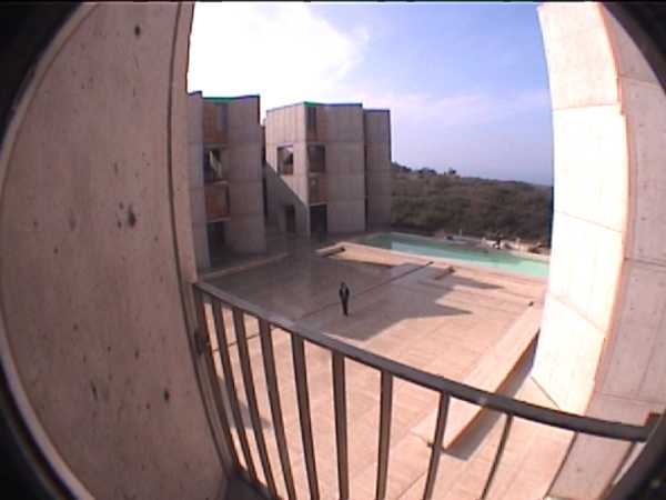 Living Salk Institute Project Video Collection