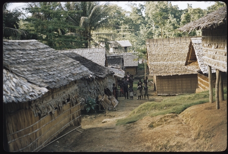 Houses and people in a village