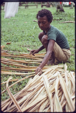 Woman spreads pandanus leaves to dry, preparing them to be used in basket- or mat-making