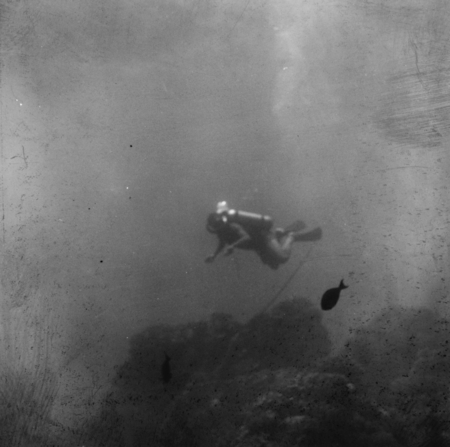 Diver during the Capricorn Expedition
