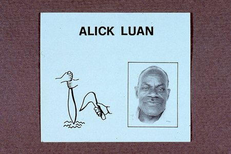 Alick Luan Ballot in Vanuatu Pati 1981 Election