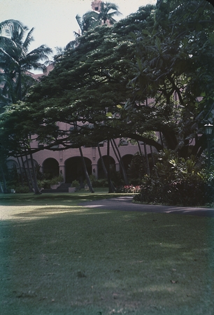 Bishop Museum in Honolulu, Hawaii. During the Midpac Expedition, 1950.