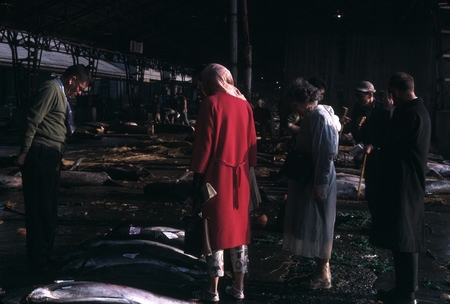 Carl L. Hubbs (left) and Mrs. Watson looking at tunas, Tokyo Fish Market, Japan