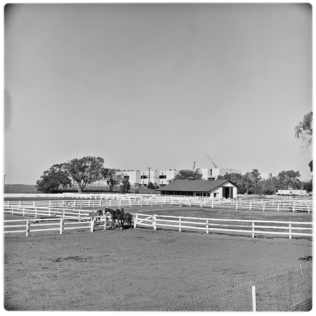 La Jolla Farms Stables with the Salk Institute for Biological Studies, under construction, in background