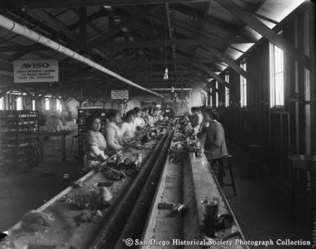 Women cleaning fish at Pacific Tuna Company cannery