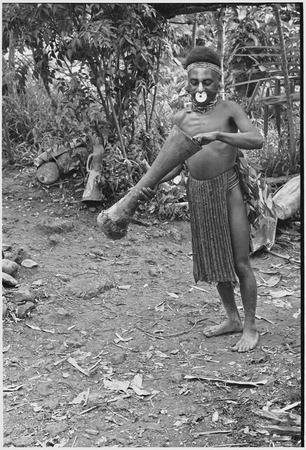 Pig festival, uprooting cordyline ritual, Tsembaga: decorated man treats kundu drum, ensuring its sound will be pleasing t...