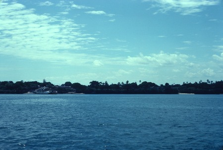 View of shore on Lake Kariba, from Zimbabwe side