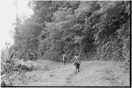 Wanumbil-Yeria trail, Wanuma Census Division: carriers