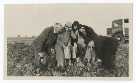 Ed and Mary Fletcher examining crops with friends, Torrey Pines