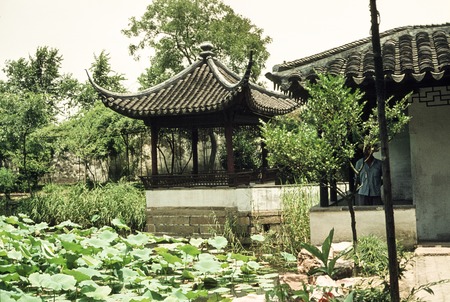 Traditional Architecture and Lotus Pond