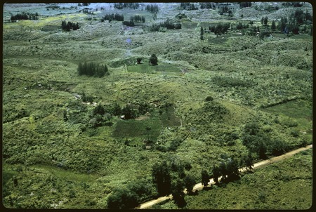 Wahgi River Valley, aerial view of gardens