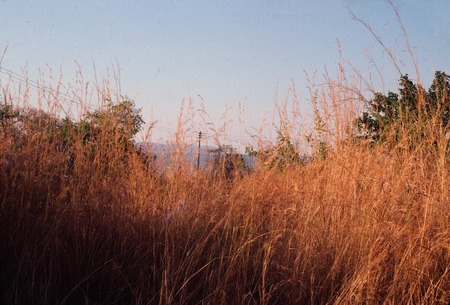 Landscape around Kasama, Northern Province