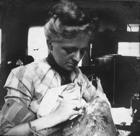 Margaret Clark Sumner, A zoology Student, 1901-1902