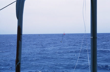 Buoy marking dredging east of the Bonin Trench