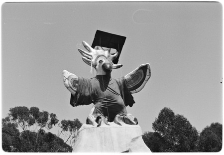 Sun God dressed in a cap and gown for commencement
