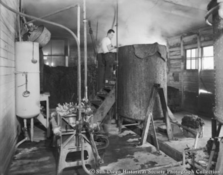 Interior view of American Agar Company showing worker and [fermentation?] tank
