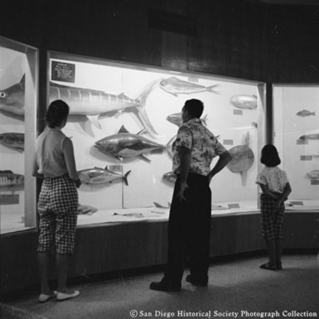 Man, woman, and child looking at Scripps Aquarium fish display