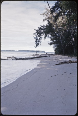 Beach on Munuwata Island with islands in distance