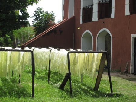 Henequen Drying Outside Sotuta de Peon Hacienda tourist site