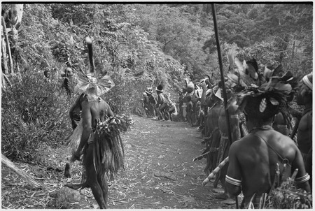 Pig festival, stake-planting, Tuguma: decorated men carry cordyline, stakes and weapons to establish enemy boundary