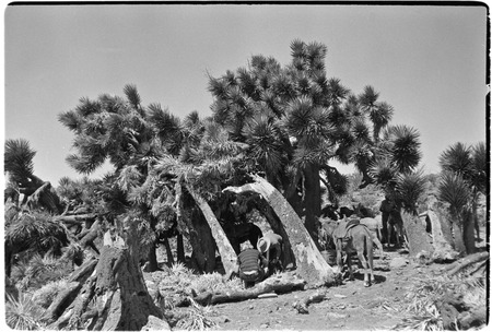 Rest stop near Rancho San Nicolás