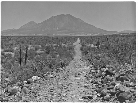 Old wagon road to Santa Rosalía near Rancho La Esperanza with Las Tres Vírgines in background
