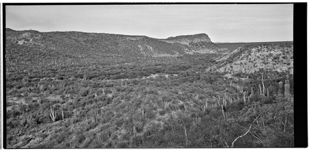 Comondú Viejo, looking northwest