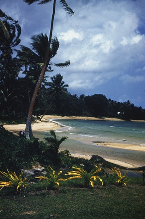 Beach, Viti Levu, Fiji. Capricorn Expedition, 1953