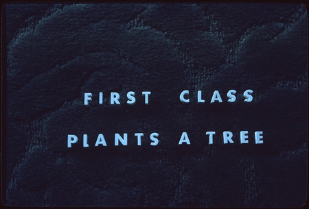 &quot;First Class Plants a Tree&quot; [title slide]