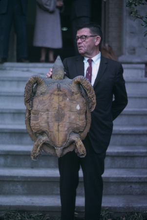 Carl L. Hubbs holding hawksbill sea turtle (Eretmochelys imbricata) in front of Tokyo Regional Fish Research Laboratory, J...