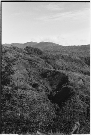 Bismarck Range mountains, view of garden fences from Babaimp