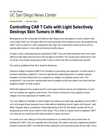 Controlling CAR T Cells with Light Selectively Destroys Skin Tumors in Mice, Library Digital Collections