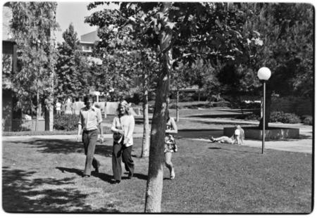 Revelle Commons