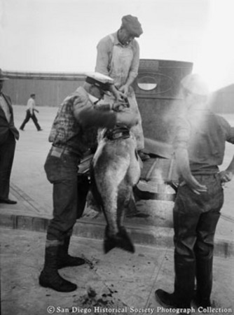 Three men loading fish on to truck on waterfront