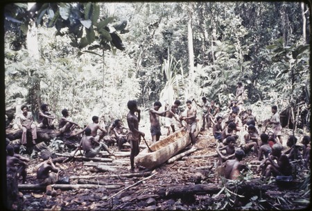 Canoe-building: men hollow out a log as base for new canoe, many other men await their turn to assist